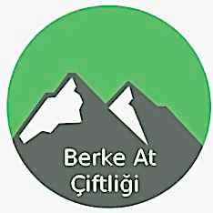 berke-at-ciftligi-kemer-havuzculuk-referans-08